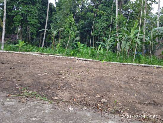 tanah murah sudah fre balik nama pembeli murah edisi terbatas tanah murah sudah fre balik nama pembeli murah edisi terbatas