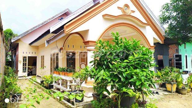 Rumah Siap Huni Luas Tanah 430 m2 Lokasi Bagan Pete Kota Jambi