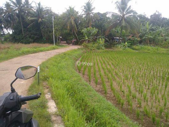 1800m2.SPPT/GIRIK Tanah di Kec Jasinga Bogor Barat