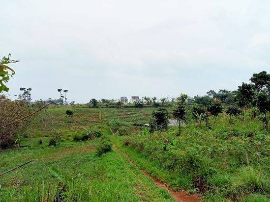 Dijual Cepat Tanah Tanah 5 Hektar Di Cibiru Bandung