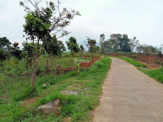 Dijual Cepat Tanah Tanah 5 Hektar Di Cibiru Bandung