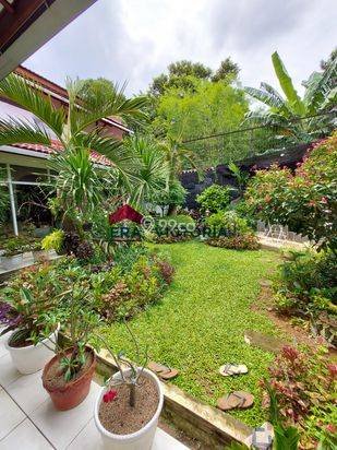 Turun harga murah rumah tua Jl. Hang Jebat