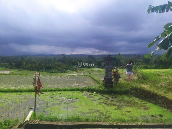 Tanah 1hektar harga super murah 15jt/are view keren
