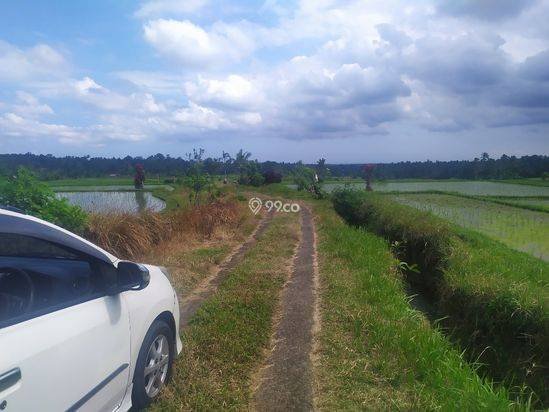 Tanah 1hektar harga super murah 15jt/are view keren
