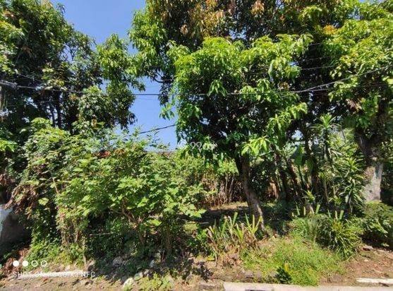 Tanah Murah Di Arcamanik Dekat Sport Jabar