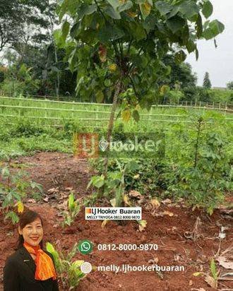 Dijual Tanah Padat Kavling Hankam Cileungsi Bogor