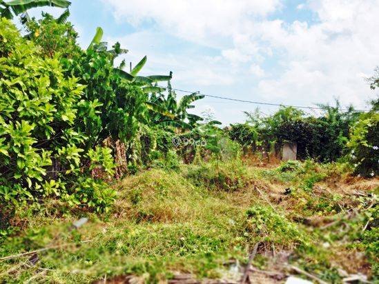 TANAH SANGAT SRATEGIS DI PINGGIR JALAN KEROBOKAN