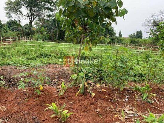 Dijual Tanah Padat Kavling Hankam Cileungsi Bogor