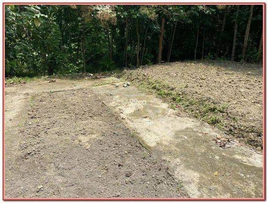 Tanah Kavling Barat Kampus Umy 1 Unit Terakhir Luas 90 M2