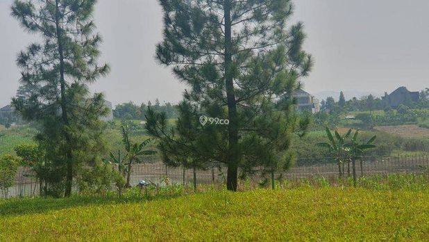 Kavling Kota Baru Parahyangan lt 325  m²