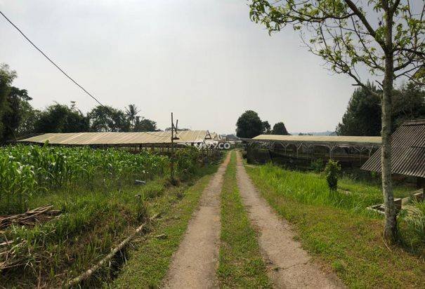 vila luas plus lahan luas