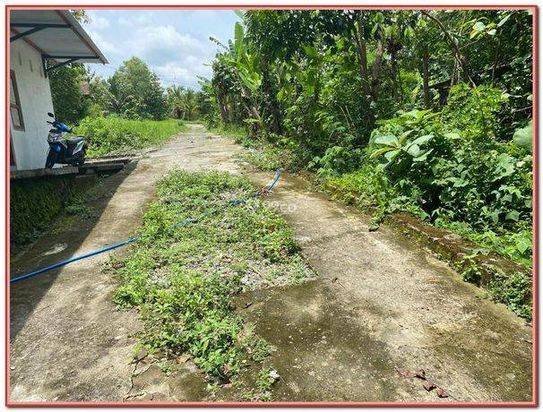 Tanah Kavling Barat Kampus Umy 1 Unit Terakhir Luas 90 M2