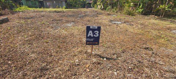 Tanah Murah Jogja Dekat Bandara Yia SHM Ready 