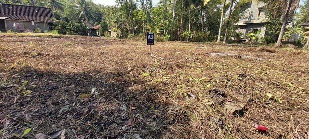 Tanah Murah Kulonprogo Siap Bangun Rumah Timur Taman Nagung