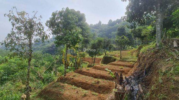 Villa bagus lahan luas mega mendung puncak