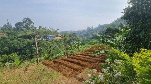 Villa bagus lahan luas mega mendung puncak
