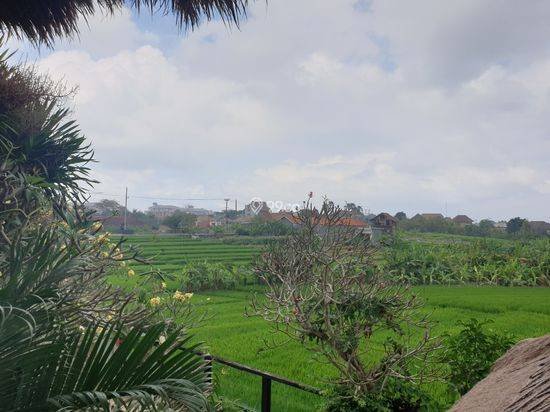 Tropical Balinese Freehold Villa Walking Distance To The Beach