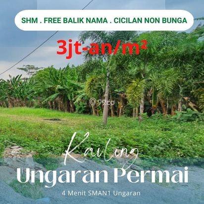Tanah Kavling Ungaran 4 Menit Kampus Undaris, SHM