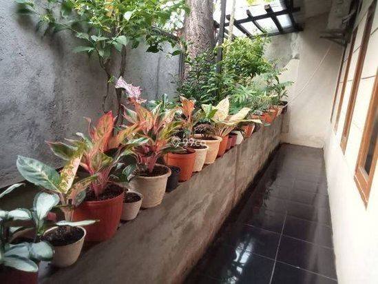 Rumah Kokoh Tanah Luas Setrategis Utan Kayu