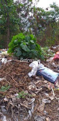 Tanah 18are hrg 1M/are nego di jalan utama brawa