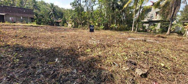 Tanah Murah Jogja Dekat Bandara Yia SHM Ready 