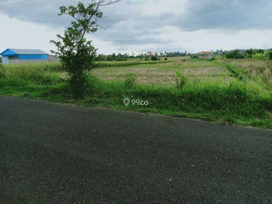 Tanah 6 are jalan utama pantai pererenan