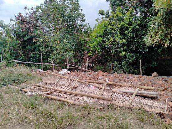 Tanah view sawah keren dekat pantai berawa