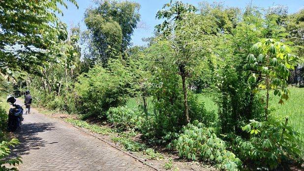 Tanah Madiun 3 menit Kantor Kecamatan Wungu 1 juta-an