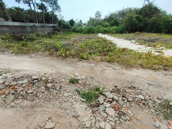 tanah kavling murah di canggu