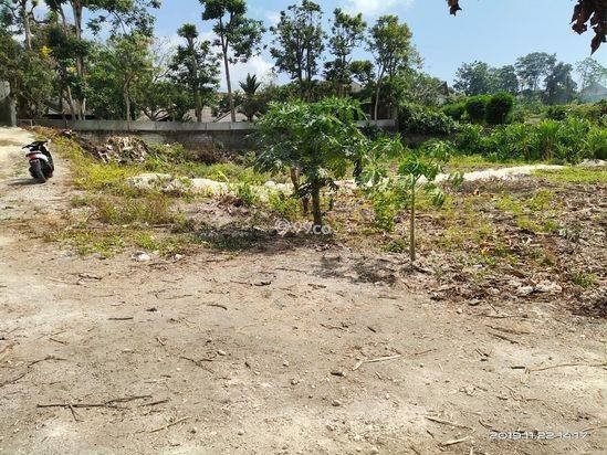 tanah kavling murah di canggu