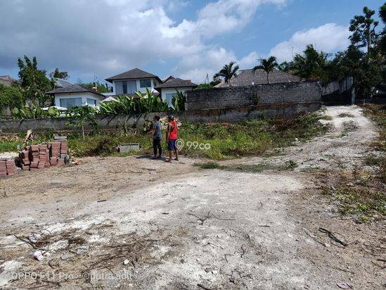 tanah kavling murah di canggu