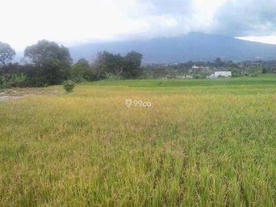 Rumah Bagus Semi Furnished Sertifikat Hak Milik