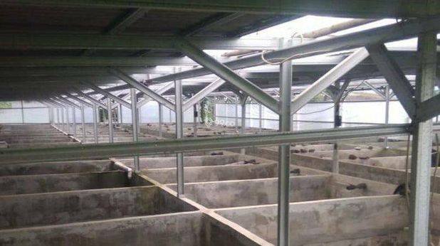 Villa Plus Tempat Usaha Sarang Walet Dan Kolam Ikan Sertifikat