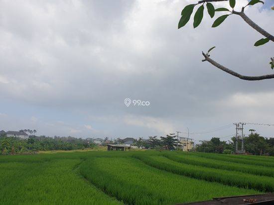 Tropical Balinese Freehold Villa Walking Distance To The Beach