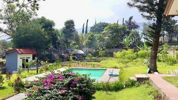 Villa Cisarua Puncak Area Taman Safari Bogor