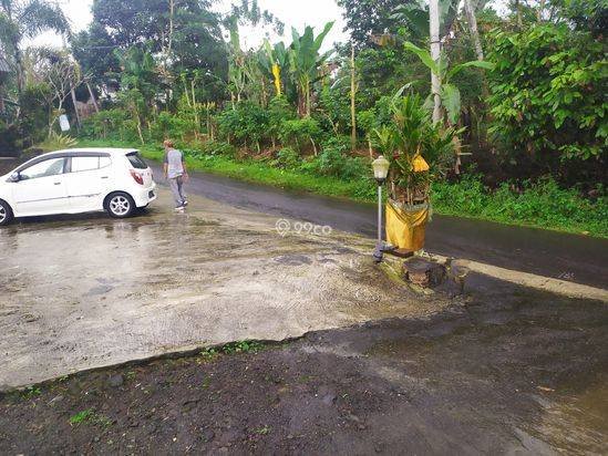 Tanah 1hektar harga super murah 15jt/are view keren
