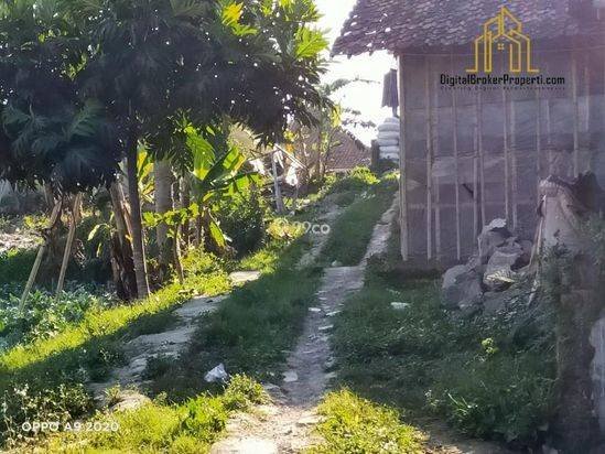 BU CEPAT tanah kebun dekat SMU cisarua bandung barat
