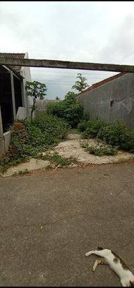 Tanah dijual