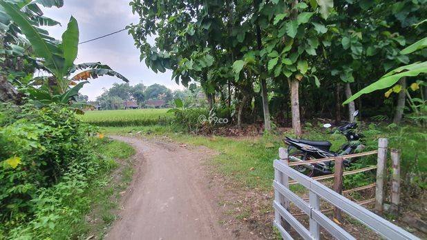 Tanah Kebun Jati Ngawi Kota