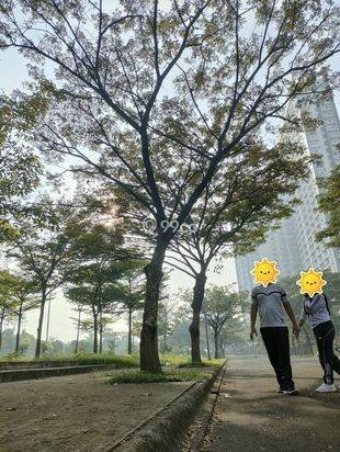 Apartemen Tangerang, BSD - CASA DE PARCO - 2 BR FF