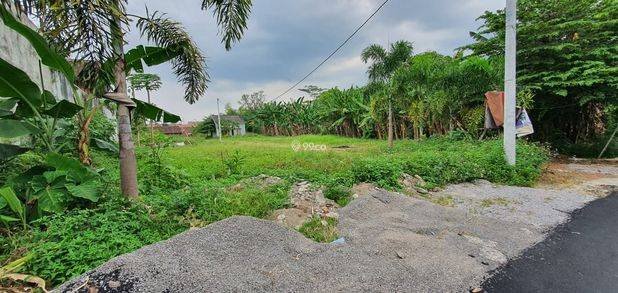 Tanah Kavling Ungaran 4 Menit Kampus Undaris, SHM