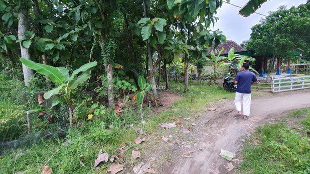 Tanah Kebun Jati Ngawi Kota