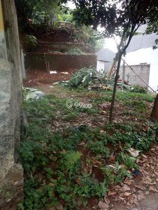 TANAH KOSONG BELAKANG ALUN-ALUN KOTA DEPOK