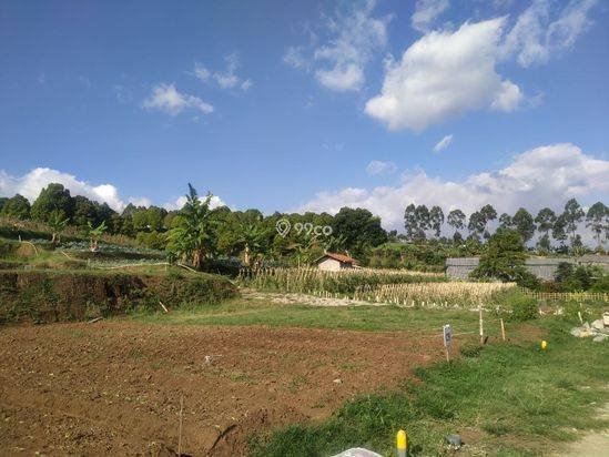 tanah MATANG harga TERJANGKAU di cimahi