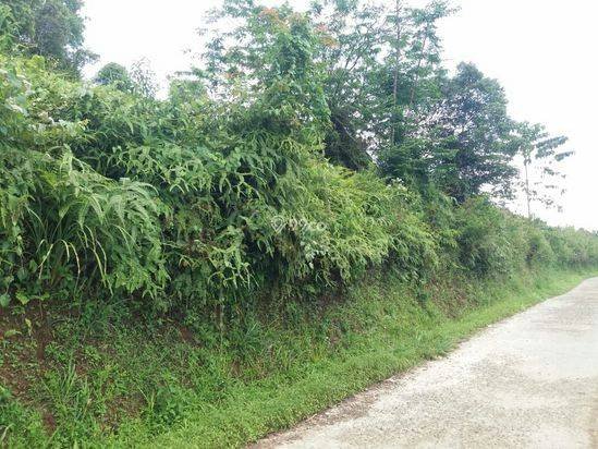 1Ha.SPPT/GIRIK Tanah di Kec Cigudeg Bogor