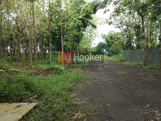 Sewa Gudang Jl. Raya Semarang Kendal – 4376
