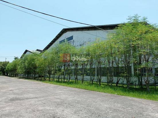 Sewa Gudang Cocok Usaha &Industri Jl Raya Semarang-Kendal-7248