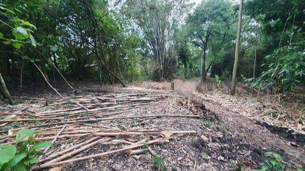 Tanah Kebun Jati Ngawi Kota