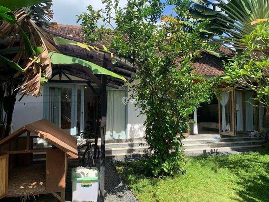 One Bedroom House In Heart Of Berawa Canggu