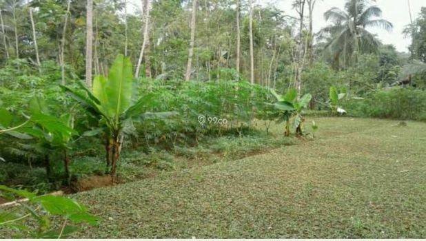 Dijual tanah di lokasi Batuarden Barat